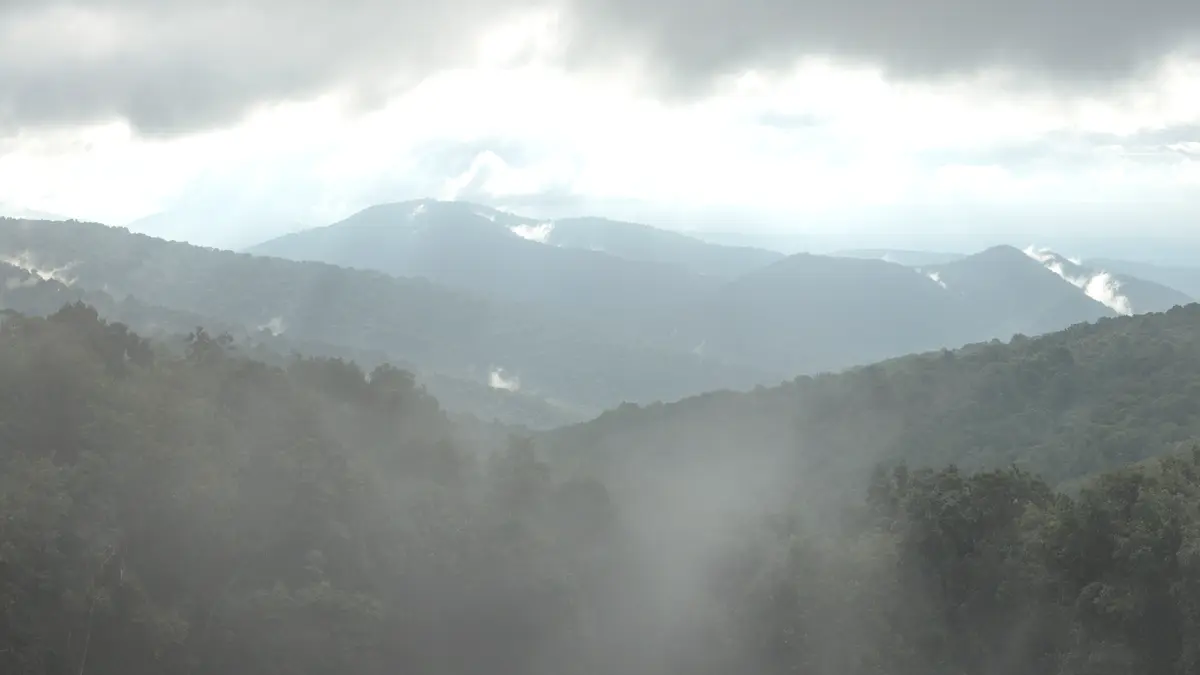 Blue Ridge mountains in layered morning fog