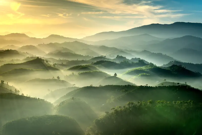 Layered Blue Ridge mountains in golden morning mist