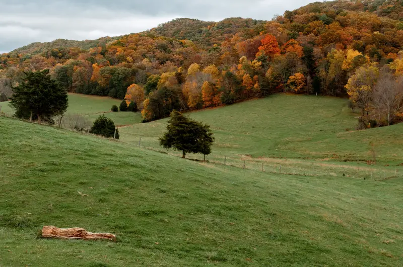 Autumn foliage across rolling hills
