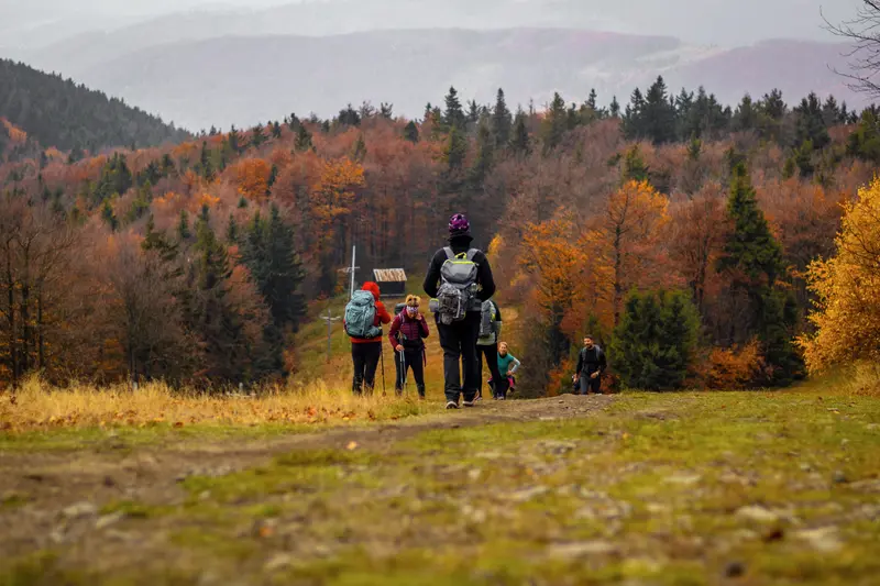 Group of hikers enjoying fall colors in a picturesque forest setting.