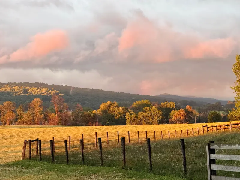 An autumn fence line under pink evening clouds