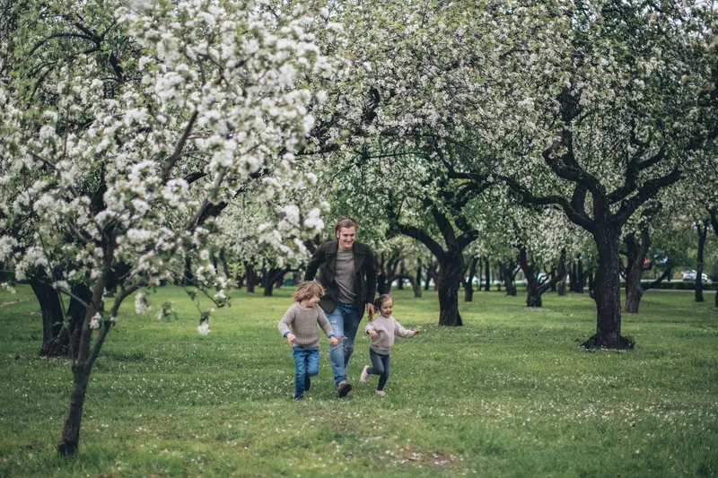 Father and children running joyfully in a lush, blossoming spring orchard.